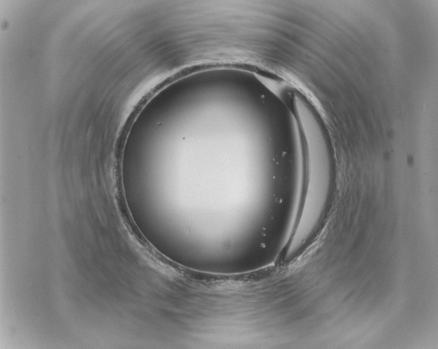 X0000070881085200607071942