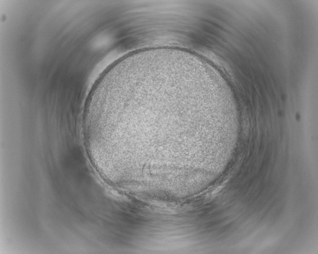 X0000070881086200607071942