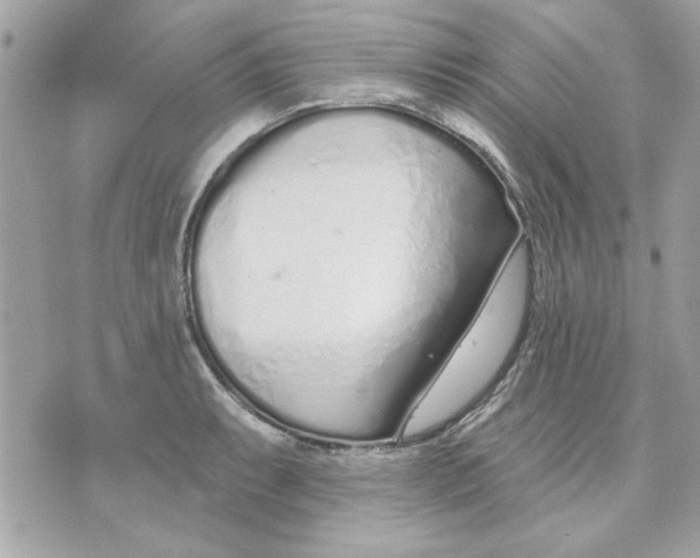 X0000070881087200607071942