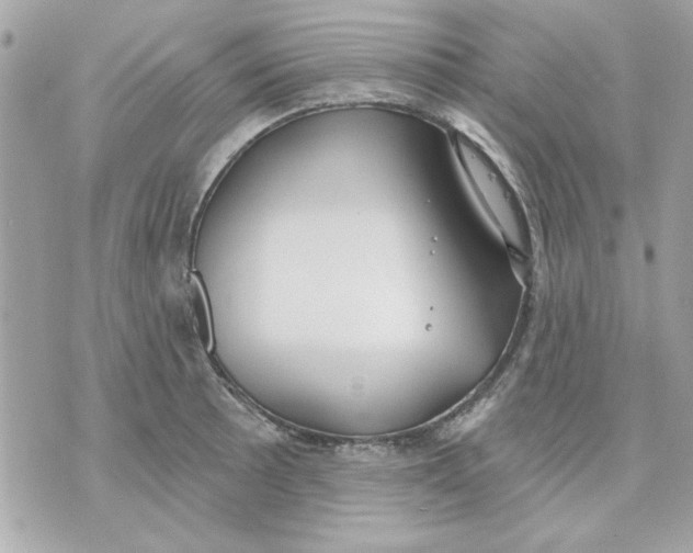 X0000070881089200607071942