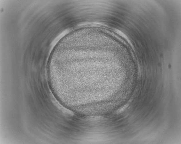 X0000070881090200607071942