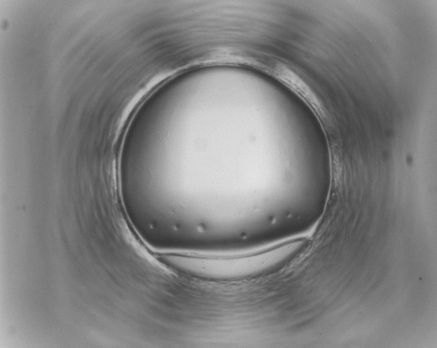 X0000070881092200607071942