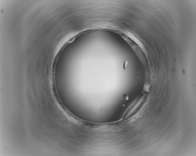 X0000070881093200607071942