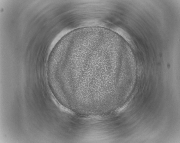 X0000070881094200607071942