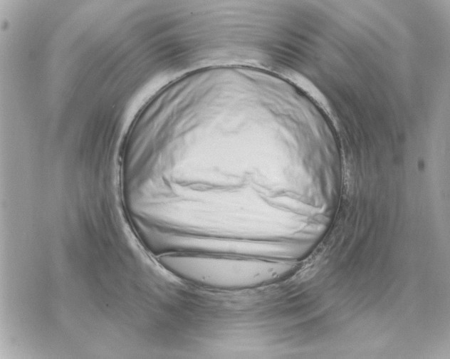 X0000070881096200607071941