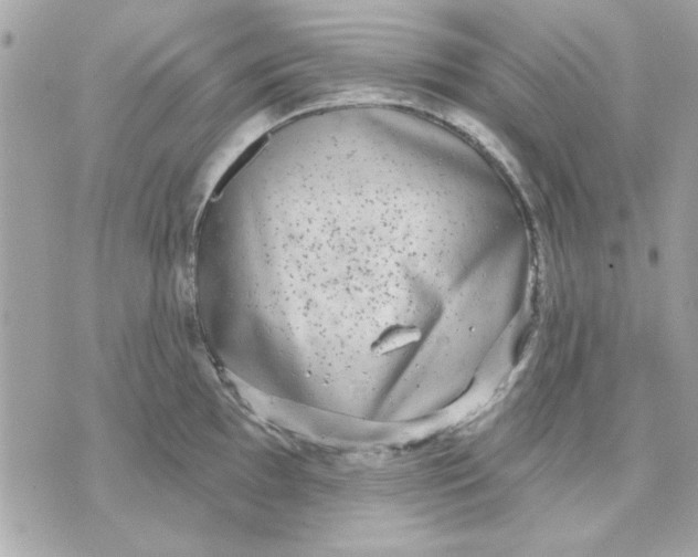 X0000070881097200607071941