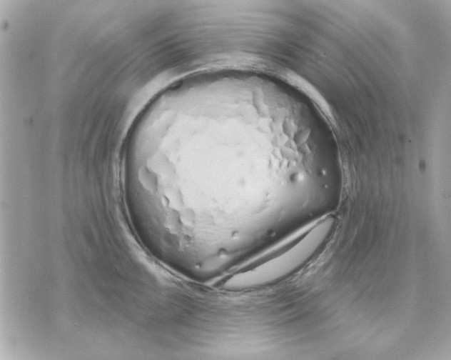 X0000070881099200607071941