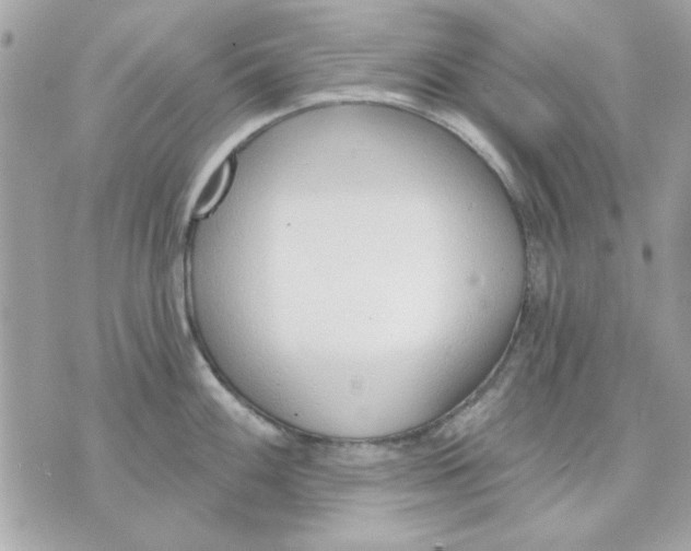 X0000070881100200607071941