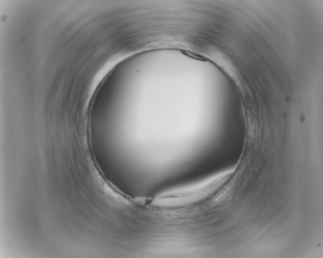 X0000070881102200607071941