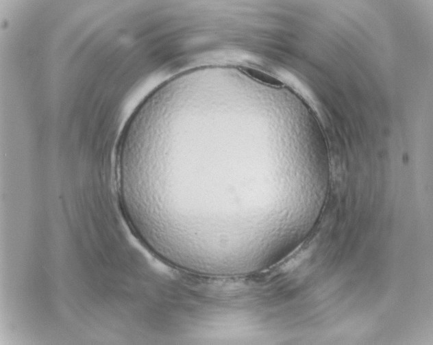 X0000070881103200607071941