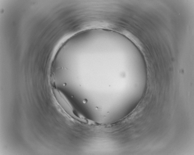 X0000070881104200607071941