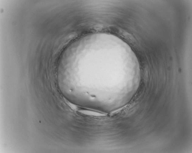 X0000070881105200607071941