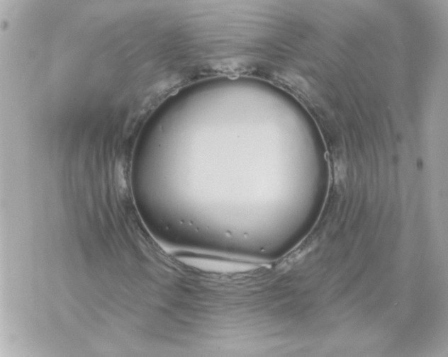 X0000070881106200607071941