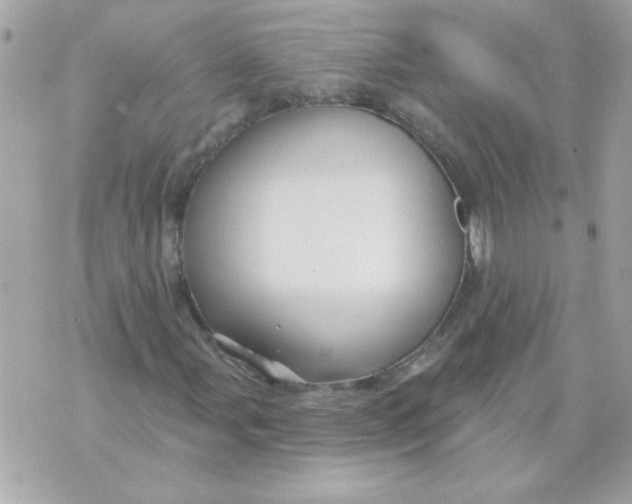 X0000070881107200607071941