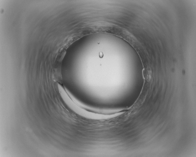 X0000070881108200607071941