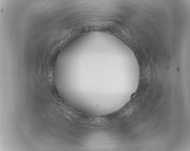 X0000070881109200607071941