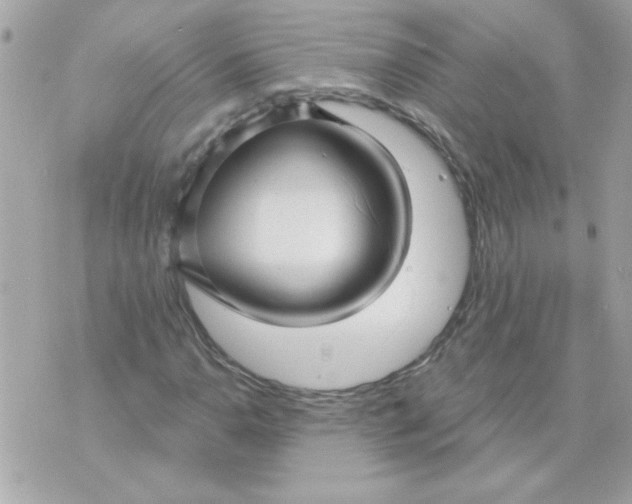 X0000070881110200607071941