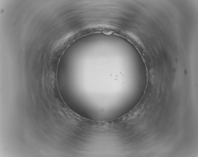 X0000070881111200607071941