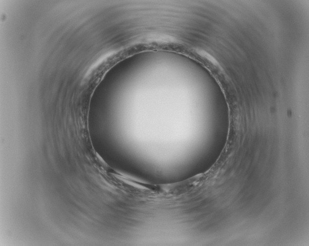 X0000070881112200607071941