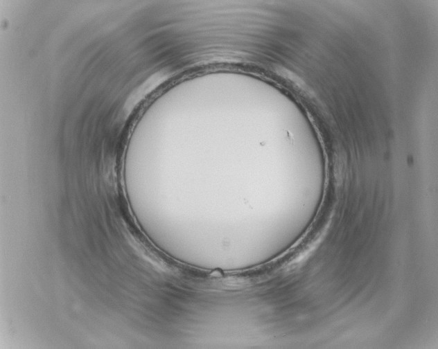 X0000070881113200607071941