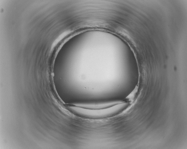 X0000070881114200607071941