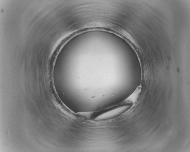 X0000070881116200607071941