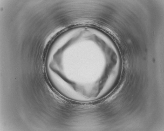 X0000070881117200607071941