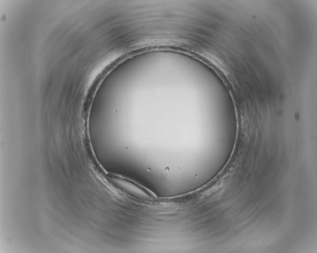 X0000070881119200607071941