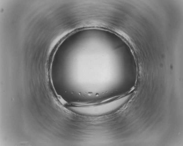 X0000070881120200607071941