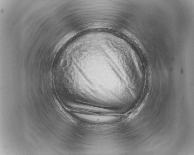 X0000070881121200607071941