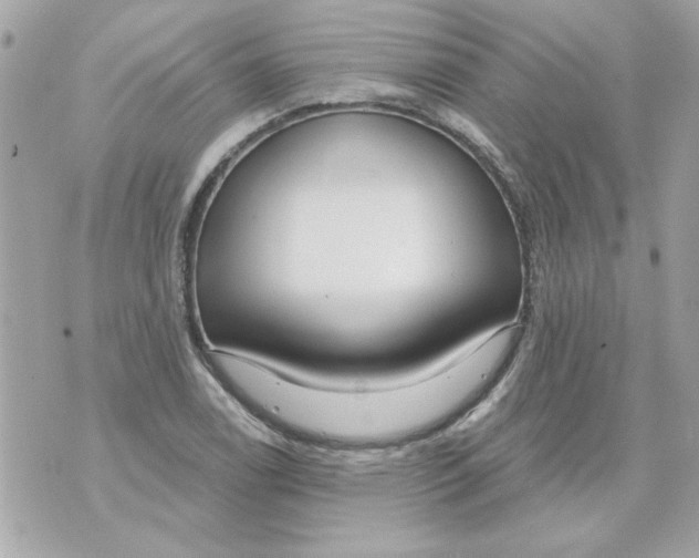 X0000070881122200607071941