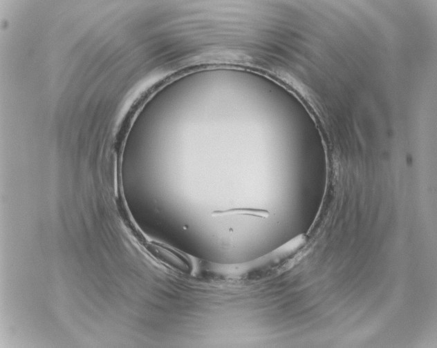 X0000070881123200607071941