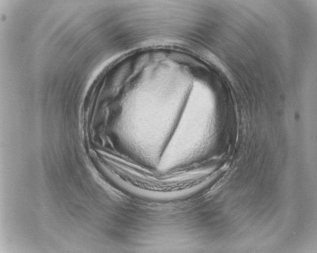 X0000070881124200607071941