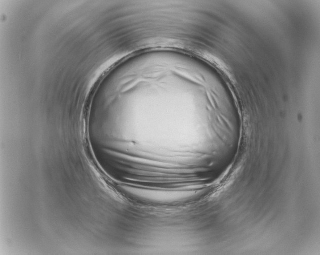 X0000070881125200607071941