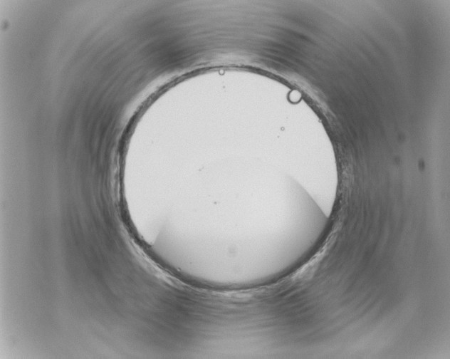 X0000070881126200607071941