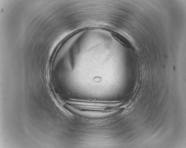 X0000070881128200607071941