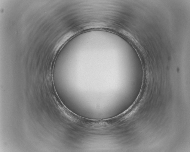 X0000070881129200607071941