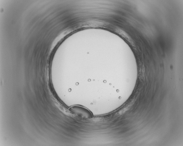 X0000070881130200607071941