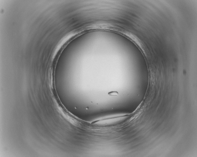 X0000070881131200607071941