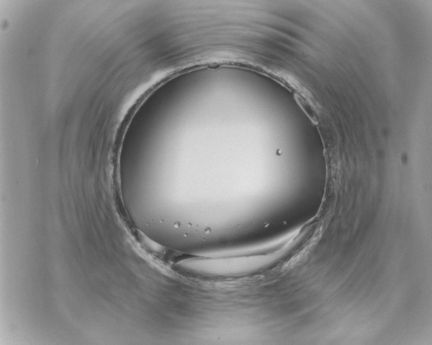 X0000070881134200607071941