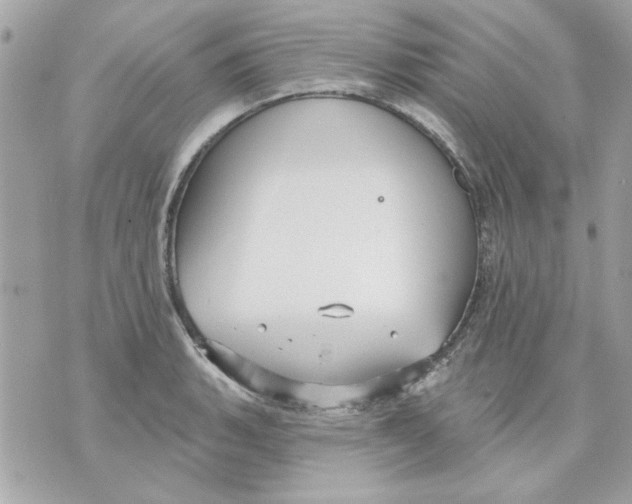 X0000070881135200607071941