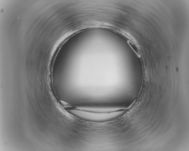 X0000070881136200607071941