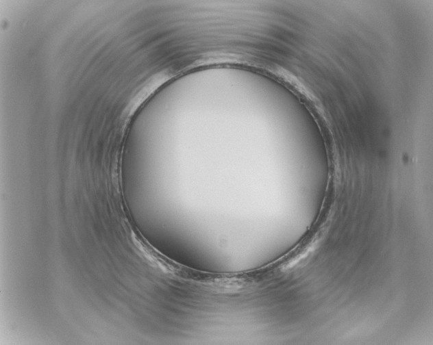 X0000070881137200607071941