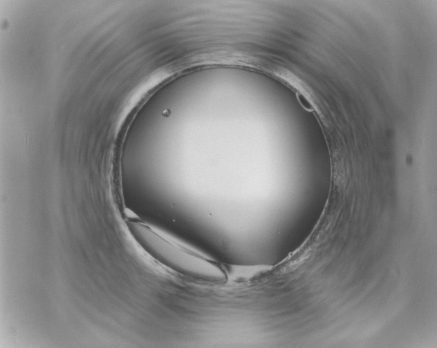 X0000070881139200607071941