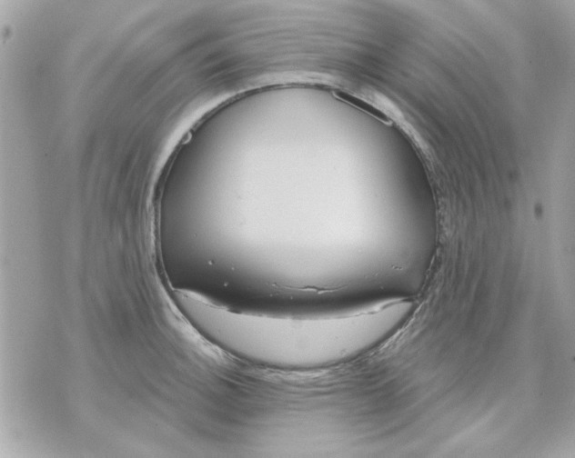 X0000070881140200607071941