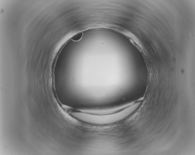 X0000070881143200607071941