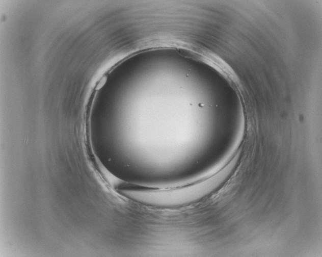 X0000070881144200607071941