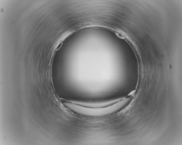 X0000070881145200607071941