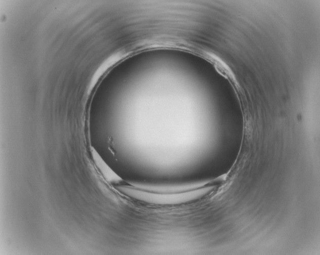 X0000070881146200607071941