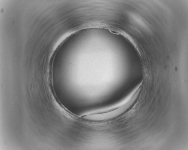 X0000070881147200607071941